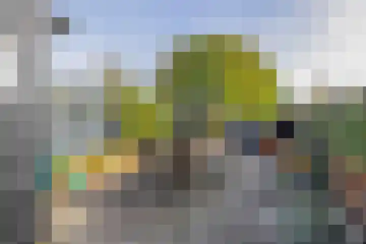 Zuiddijk 9 Oude-Tonge thumbnail 24