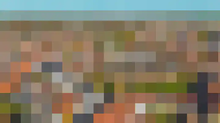Zuiddijk 9 Oude-Tonge thumbnail 26
