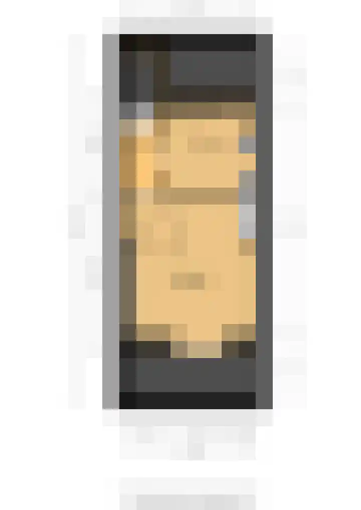 Zuiddijk 9 Oude-Tonge thumbnail 33