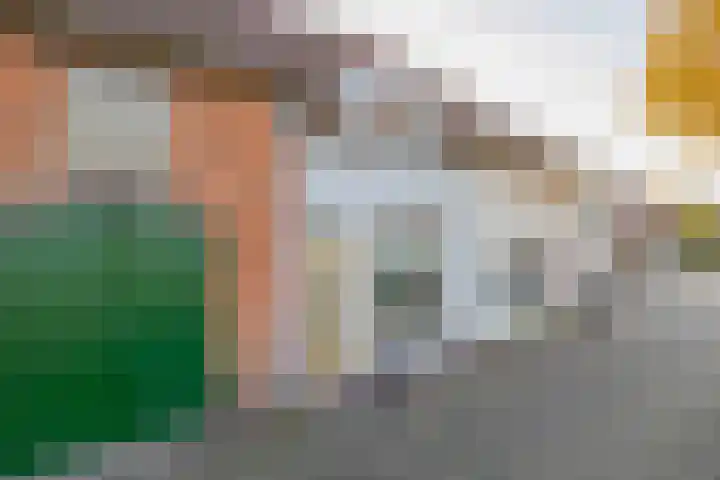Zuiddijk 9 Oude-Tonge thumbnail 5