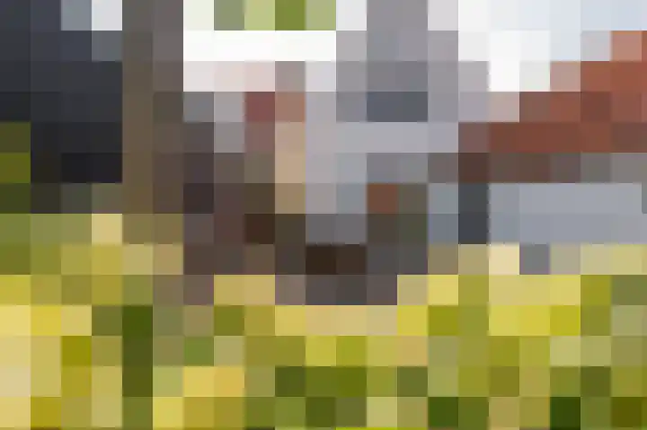 Zuiddijkstraat 11 Sluis thumbnail 27