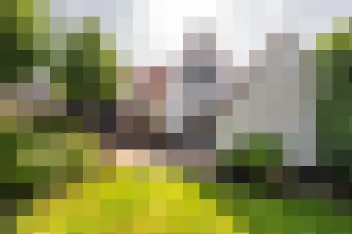 Zuiddijkstraat 11 Sluis thumbnail 29