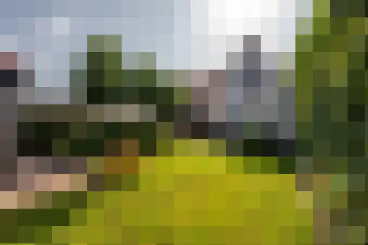 Zuiddijkstraat 11 Sluis thumbnail 30