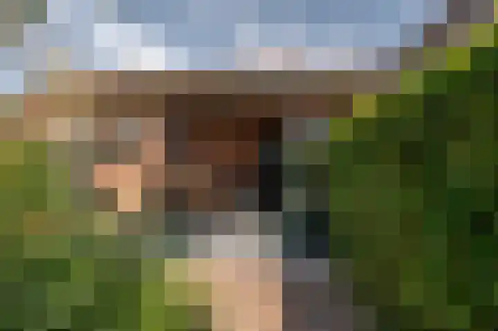 Zuiddijkstraat 11 Sluis thumbnail 31