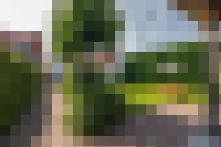 Zuiddijkstraat 11 Sluis thumbnail 33