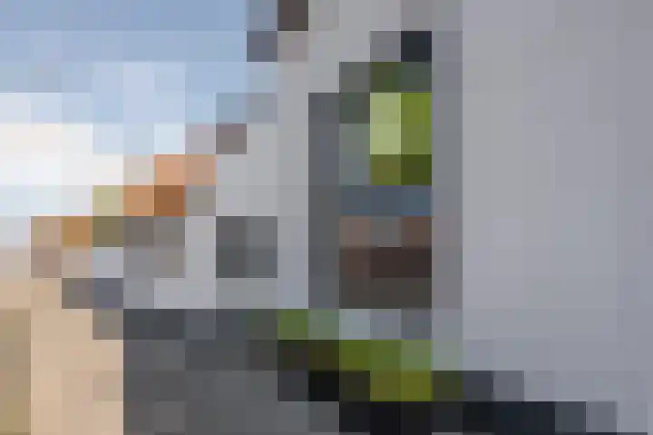 Zuiddijkstraat 11 Sluis thumbnail 4