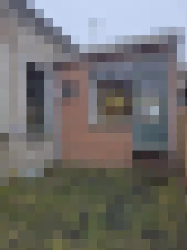Zuiddijkstraat 19 Brouwershaven thumbnail 18
