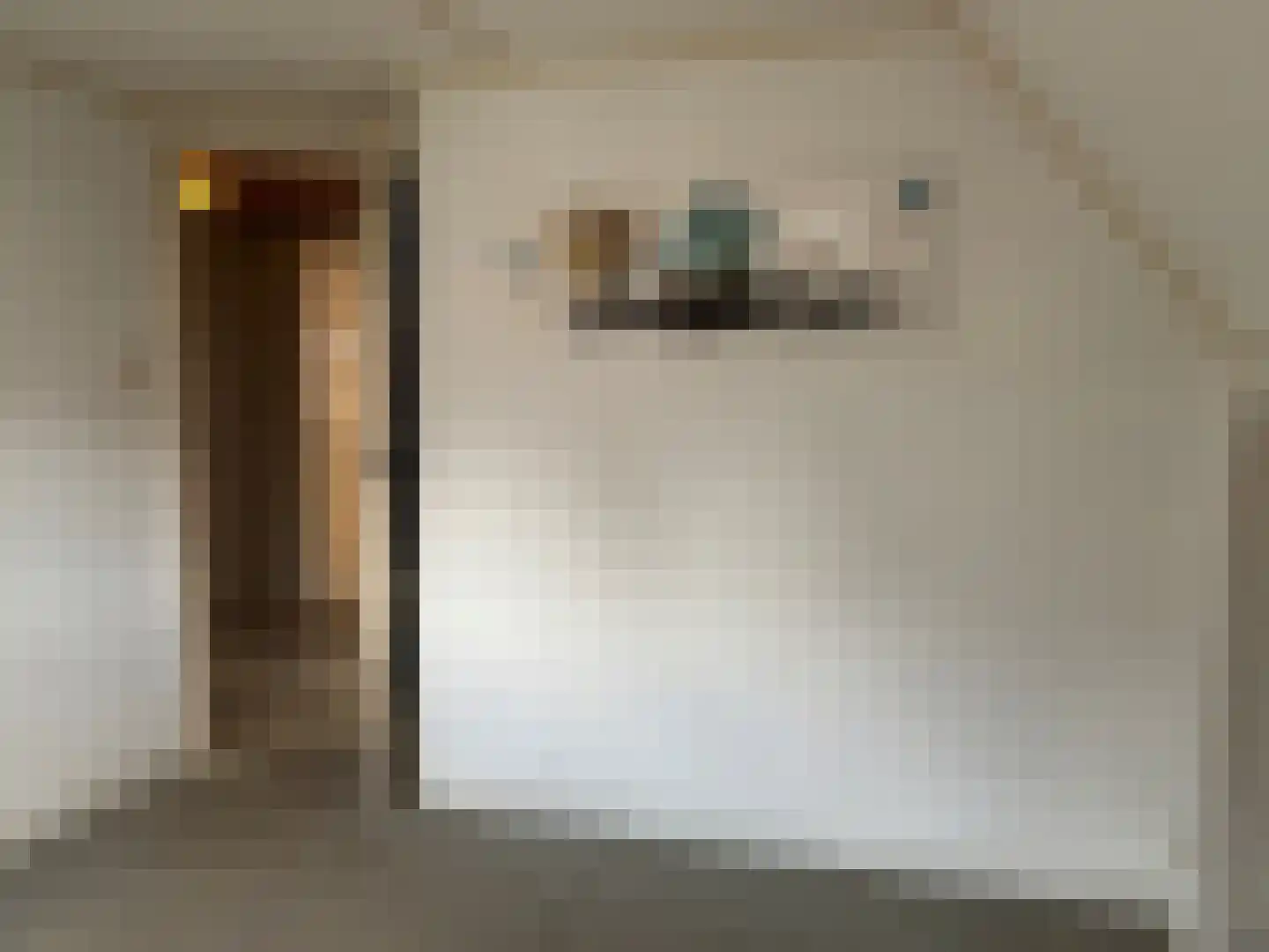 Zuiddijkstraat 35 Sluis thumbnail 25