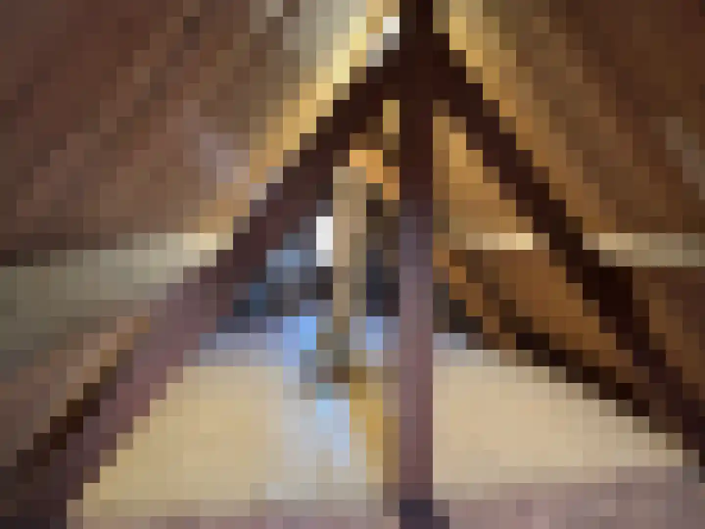 Zuiddijkstraat 35 Sluis thumbnail 31