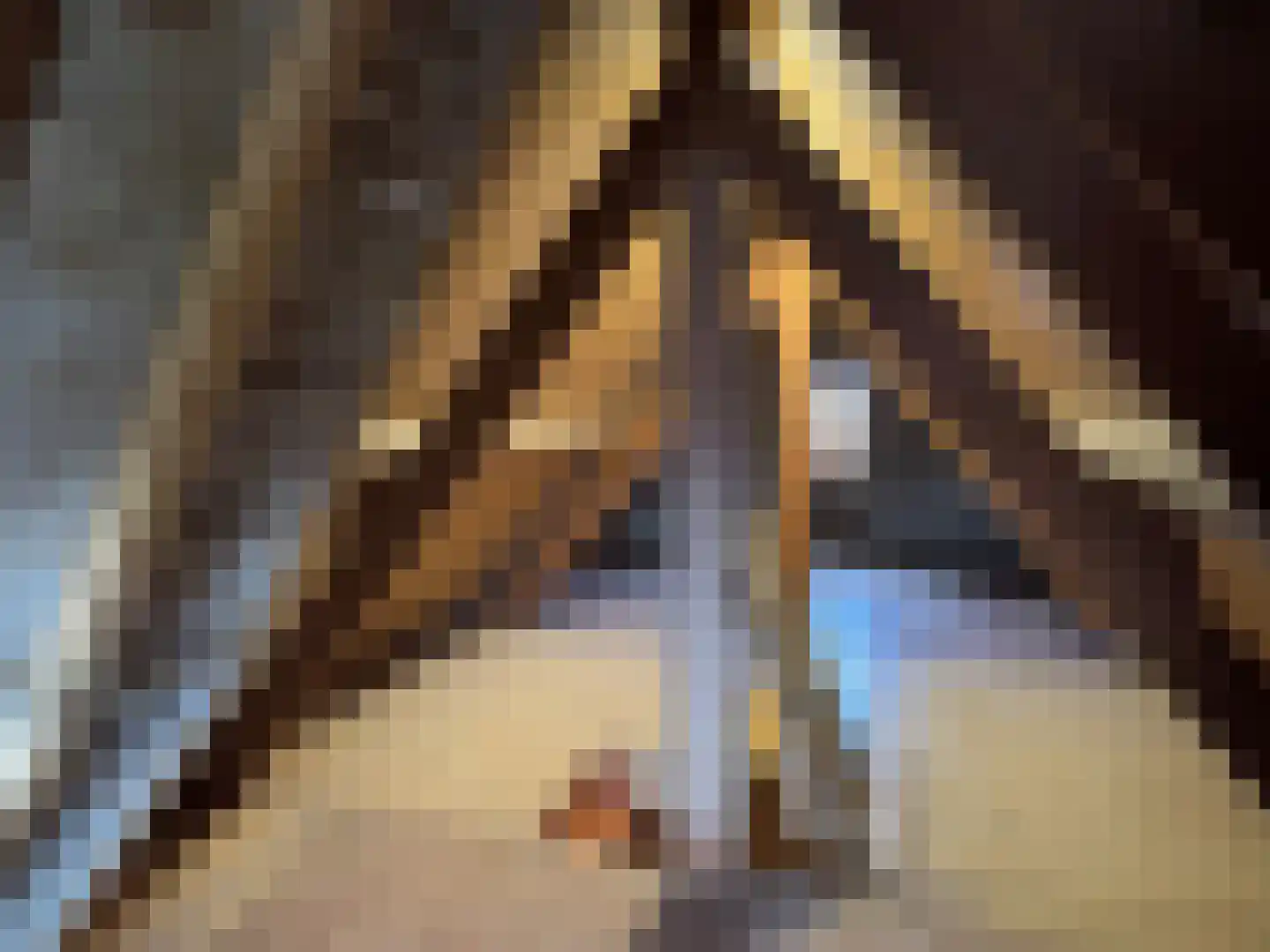 Zuiddijkstraat 35 Sluis thumbnail 32