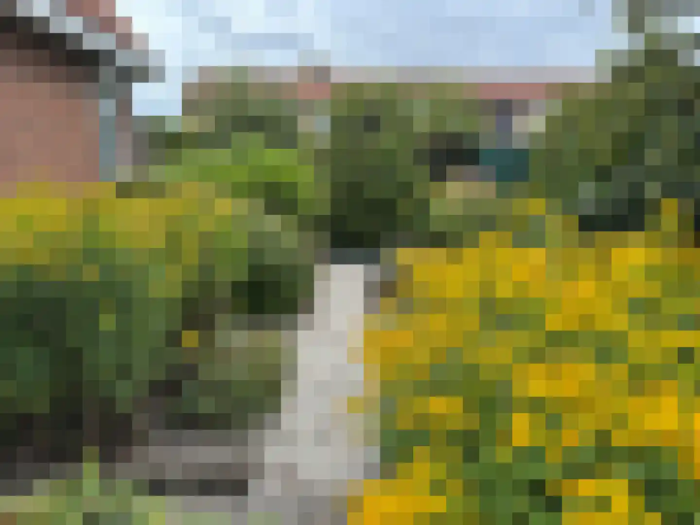 Zuiddijkstraat 35 Sluis thumbnail 34