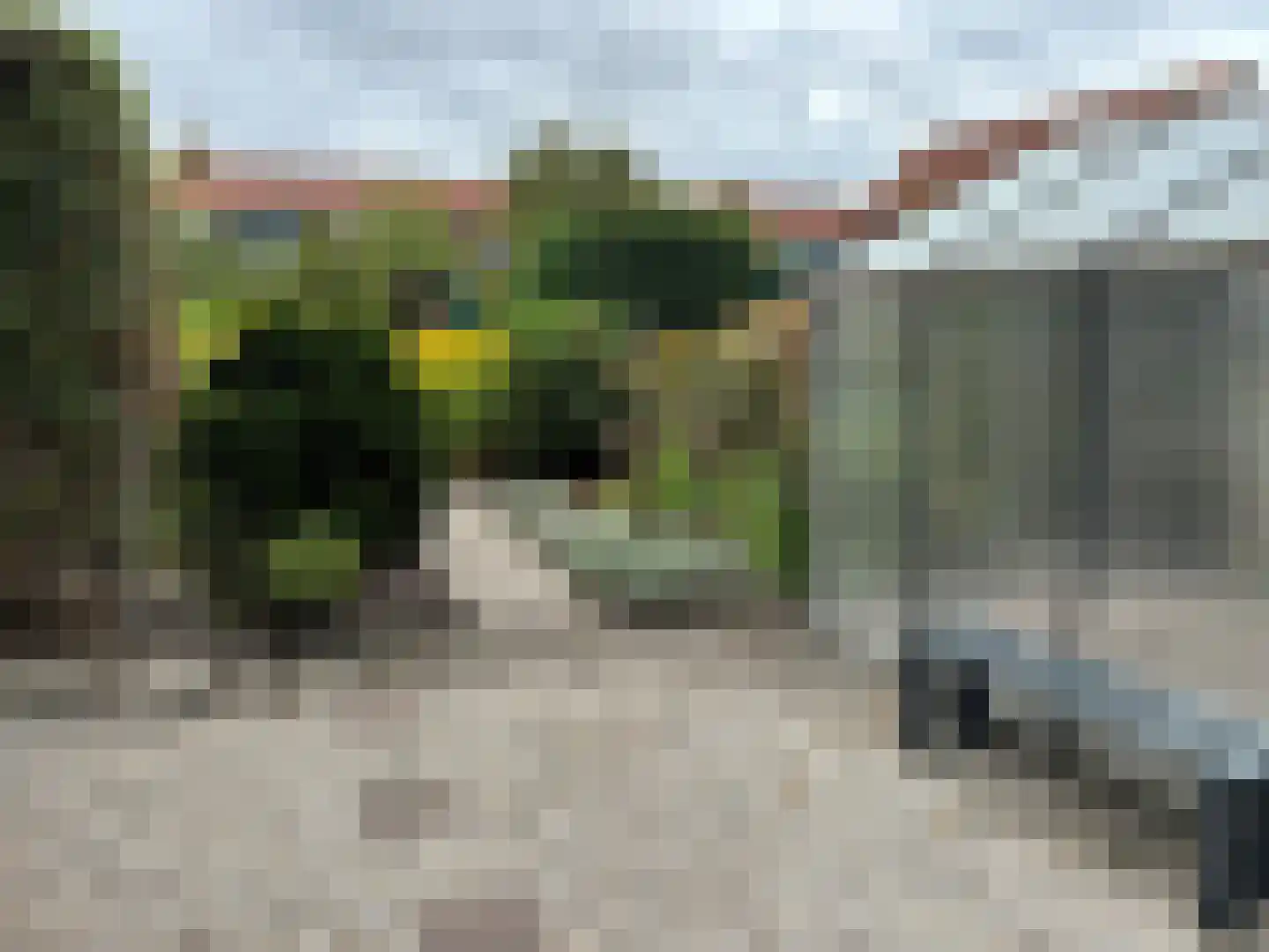Zuiddijkstraat 35 Sluis thumbnail 36