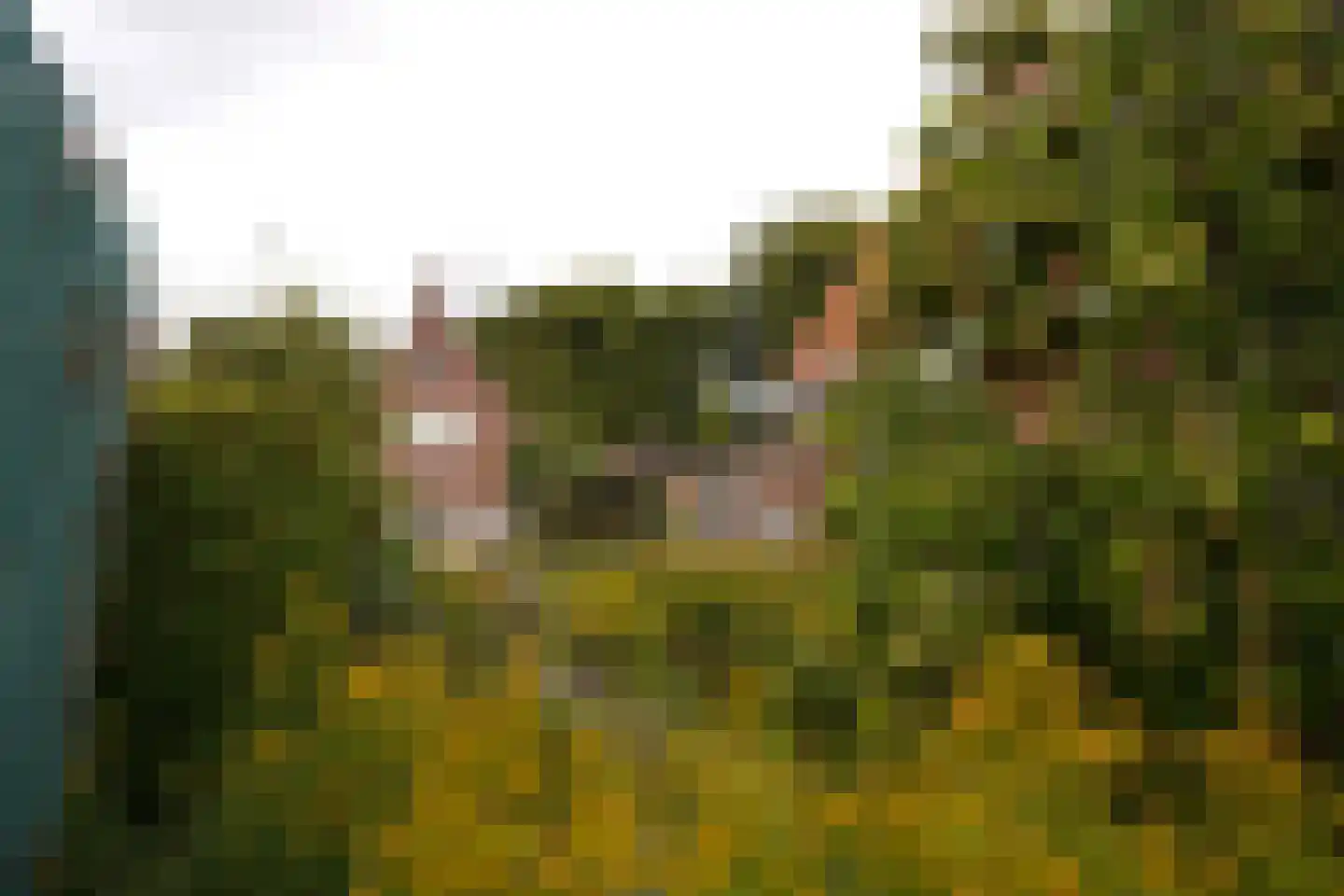 Zuiddijkstraat 35 Sluis thumbnail 37