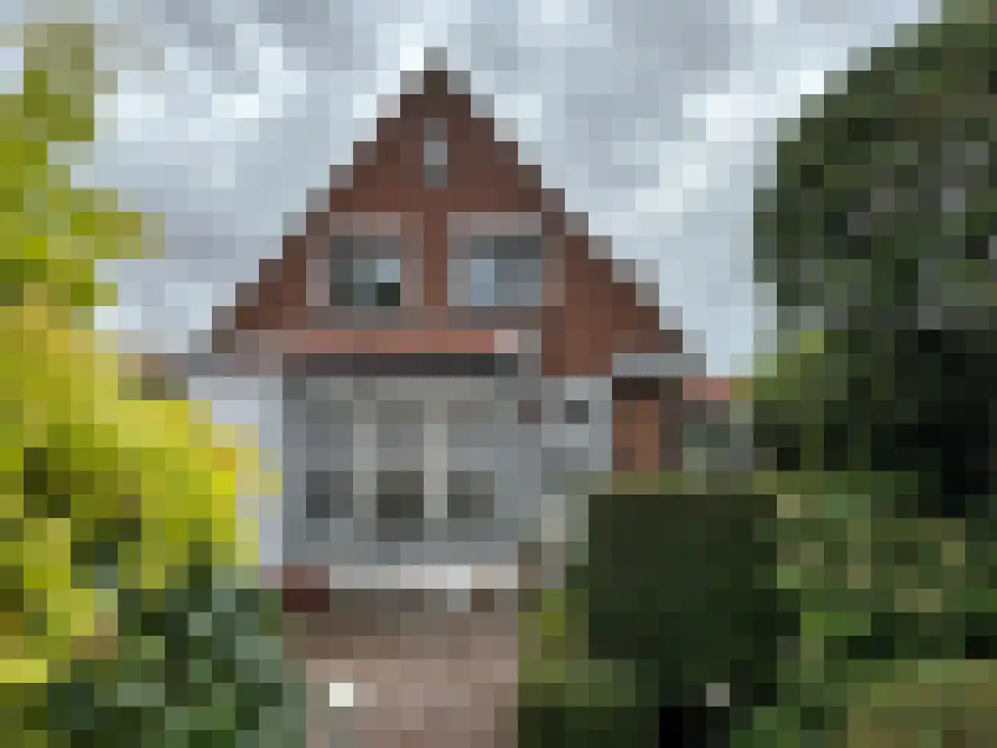 Zuiddijkstraat 35 Sluis thumbnail 40