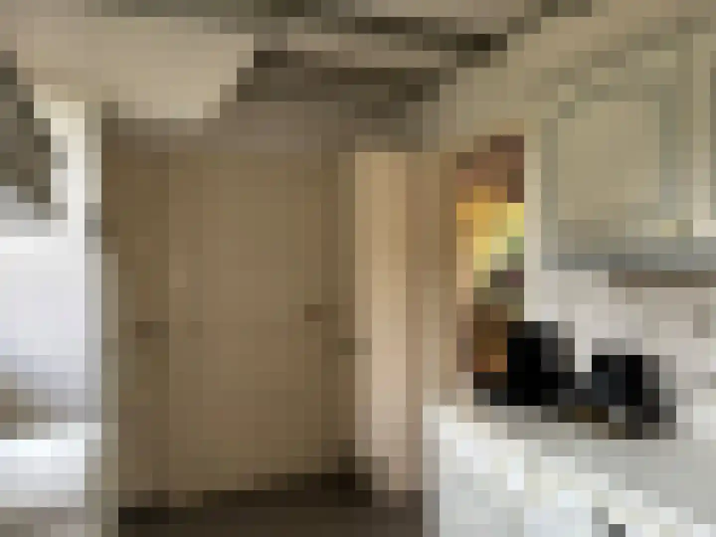 Zuiddijkstraat 35 Sluis thumbnail 8