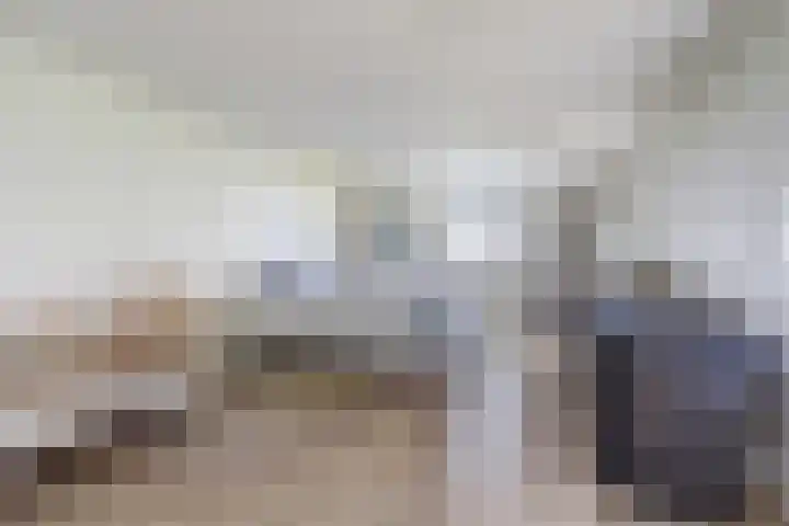 Zuiddijkweg 4 Dreischor thumbnail 29