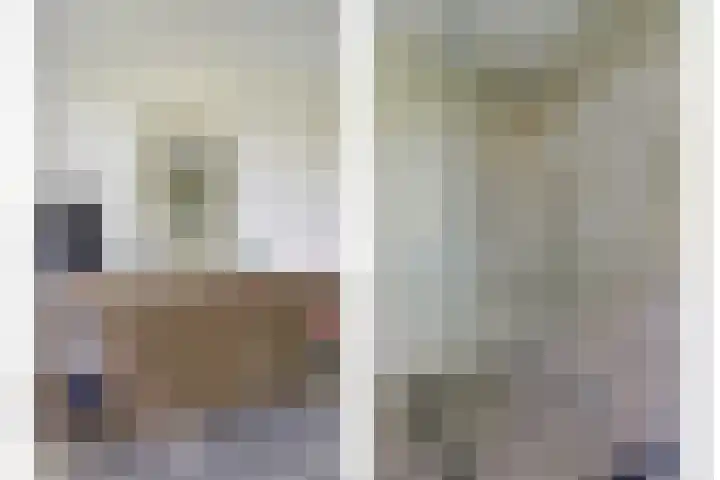 Zuiddijkweg 4 Dreischor thumbnail 31