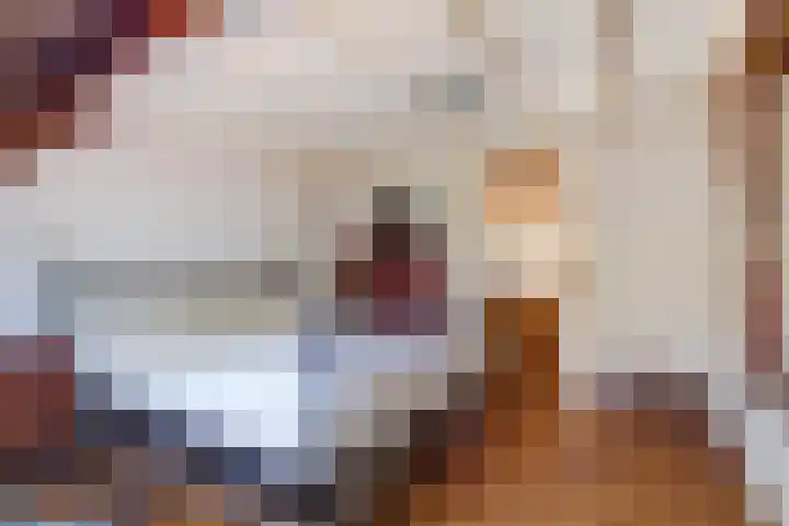 Zuiddijkweg 4 Dreischor thumbnail 37