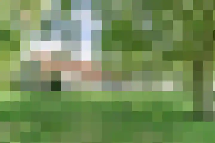 Zuiddijkweg 4 Dreischor thumbnail 43