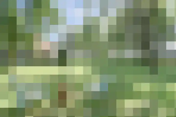 Zuiddijkweg 4 Dreischor thumbnail 44