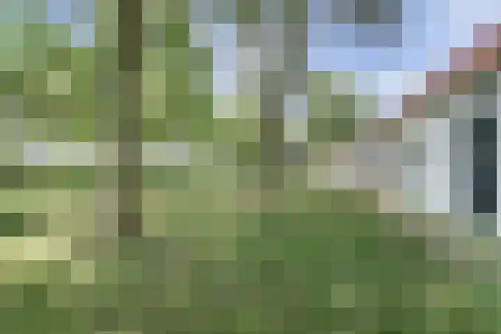 Zuiddijkweg 4 Dreischor thumbnail 46