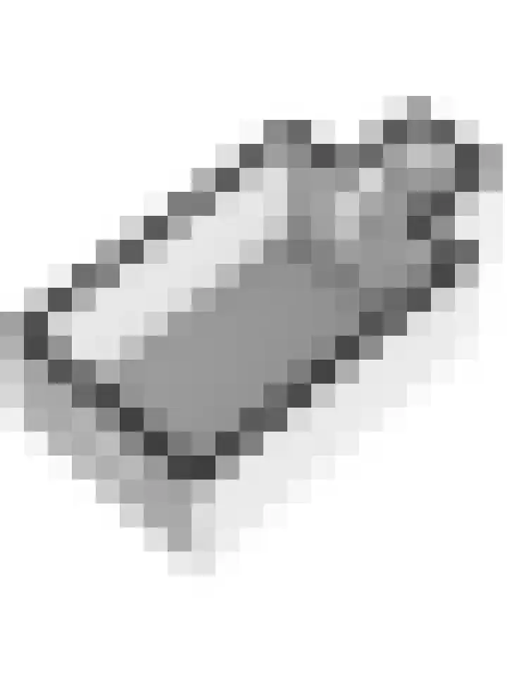 Zuiddijkweg 4 Dreischor thumbnail 64