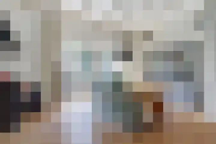 Zuiddijkweg 4 Dreischor thumbnail 8