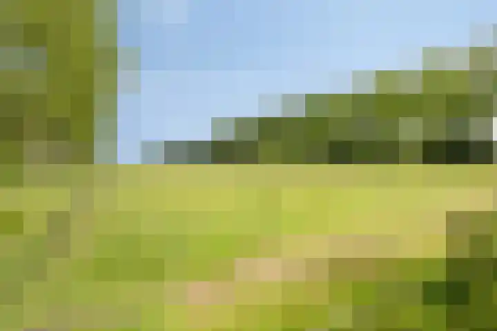 Zuideind 13 A Drouwenerveen thumbnail 11