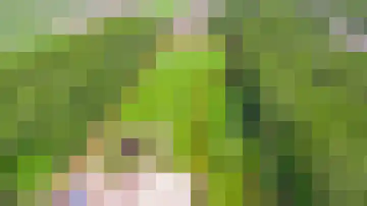 Zuideind 13 A Drouwenerveen thumbnail 12