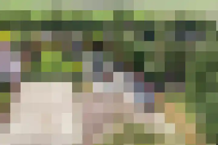Zuideind 13 A Drouwenerveen thumbnail 14