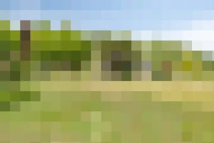 Zuideind 13 A Drouwenerveen thumbnail 18