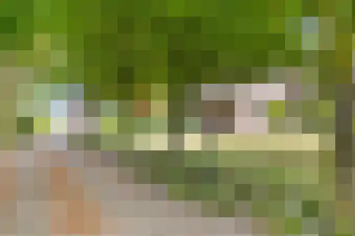 Zuideind 13 A Drouwenerveen thumbnail 19