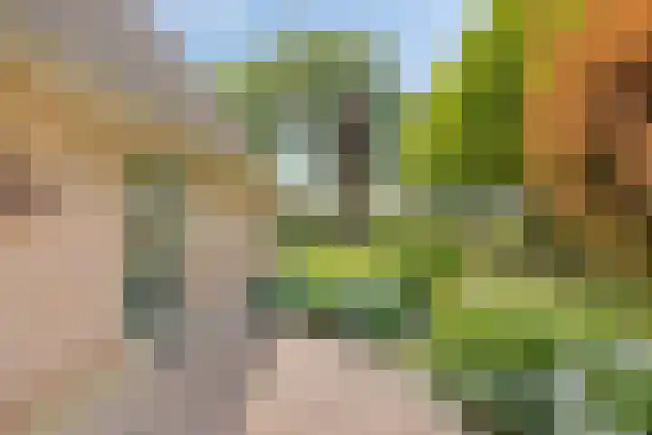 Zuideind 13 A Drouwenerveen thumbnail 20