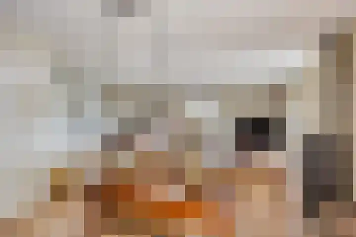 Zuideind 13 A Drouwenerveen thumbnail 28