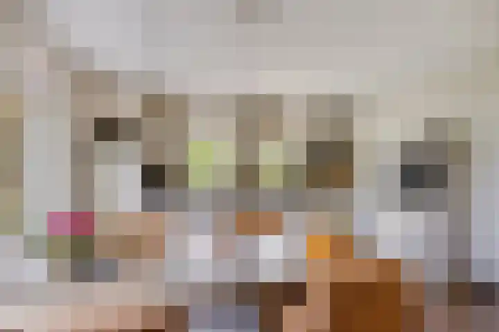 Zuideind 13 A Drouwenerveen thumbnail 31