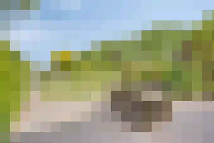 Zuideind 13 A Drouwenerveen thumbnail 46