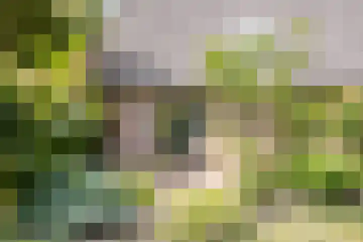 Zuideind 13 A Drouwenerveen thumbnail 48