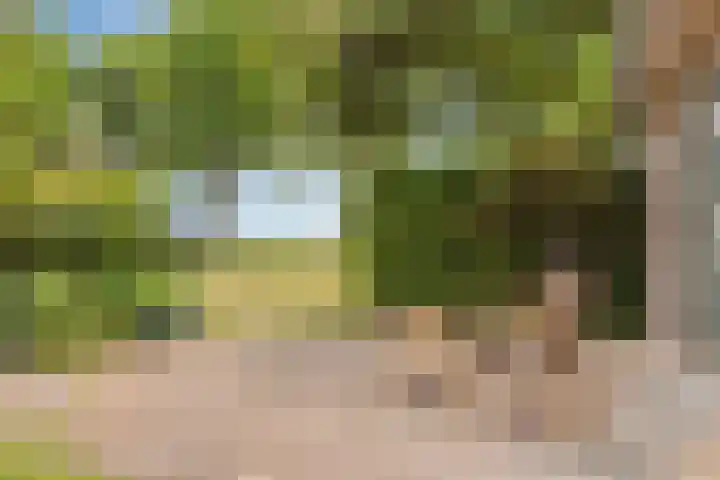 Zuideind 13 A Drouwenerveen thumbnail 49