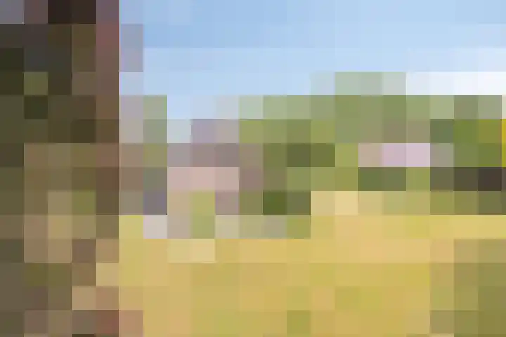 Zuideind 13 A Drouwenerveen thumbnail 5