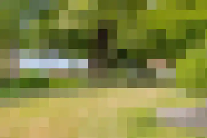 Zuideind 13 A Drouwenerveen thumbnail 50
