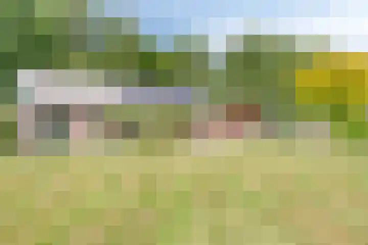 Zuideind 13 A Drouwenerveen thumbnail 51
