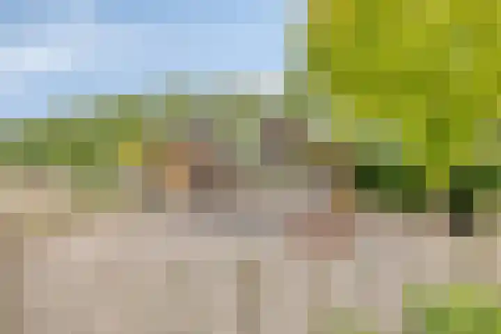 Zuideind 13 A Drouwenerveen thumbnail 53