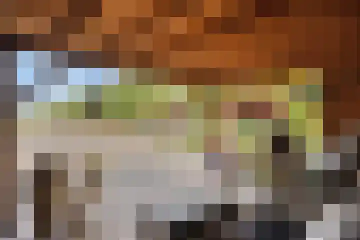 Zuideind 13 A Drouwenerveen thumbnail 60