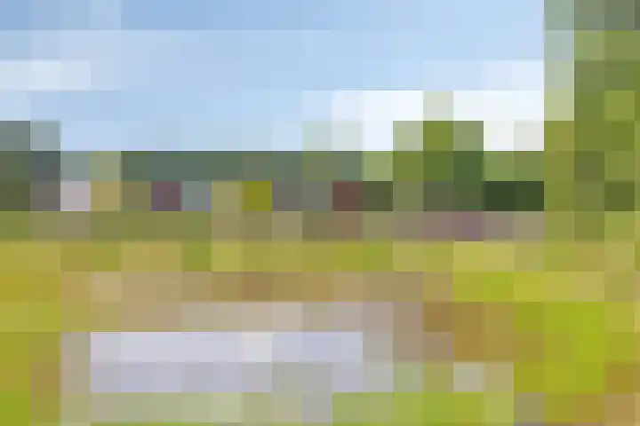 Zuideind 13 A Drouwenerveen thumbnail 62