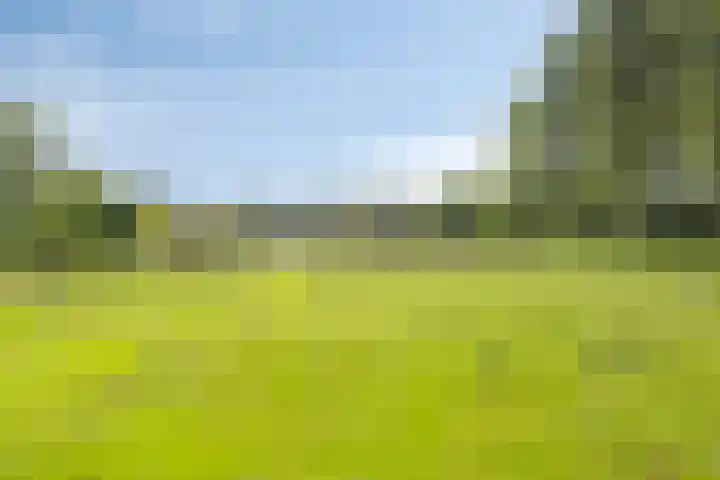 Zuideind 13 A Drouwenerveen thumbnail 63