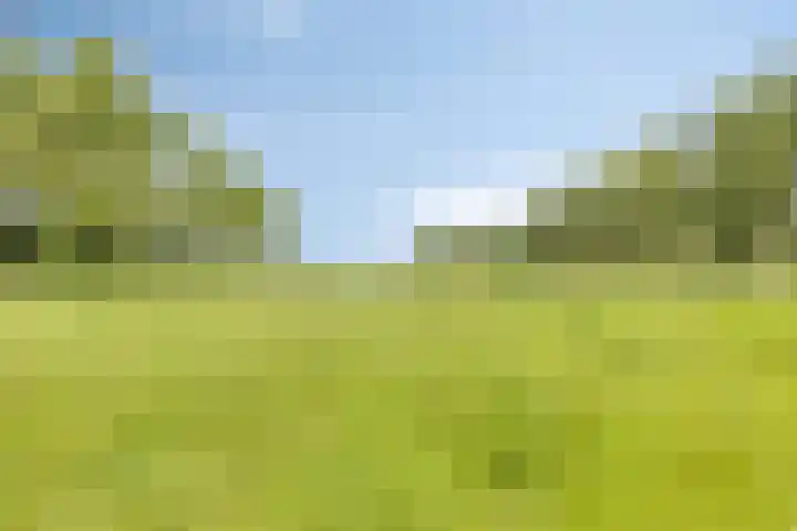 Zuideind 13 A Drouwenerveen thumbnail 64
