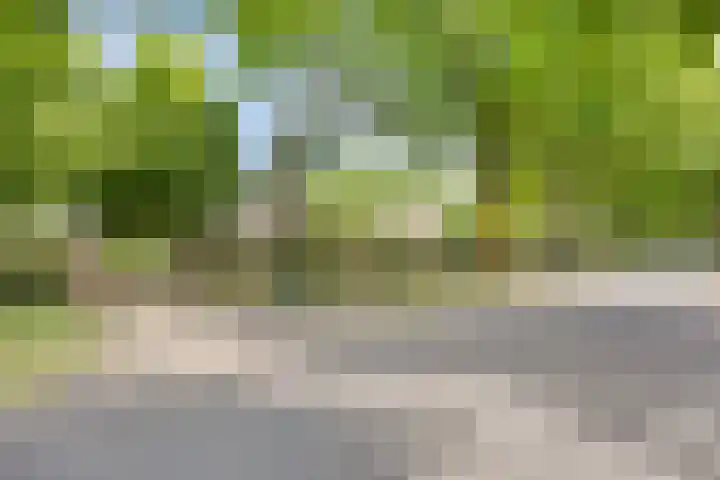 Zuideind 13 A Drouwenerveen thumbnail 65