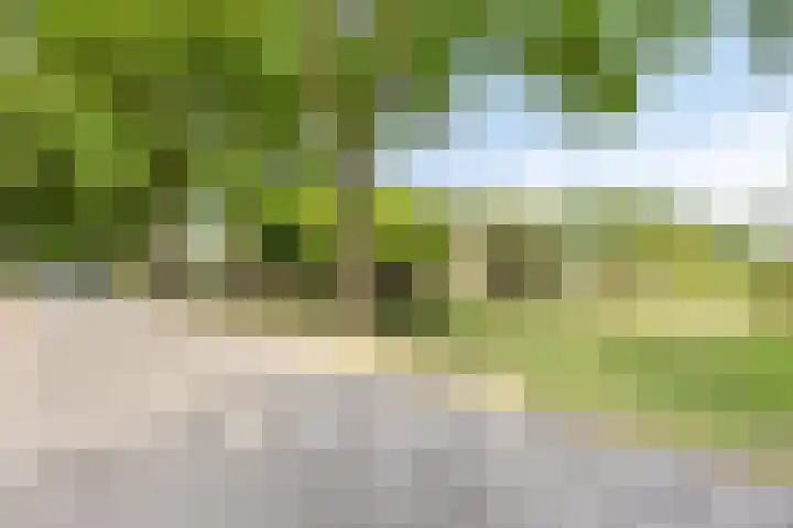 Zuideind 13 A Drouwenerveen thumbnail 66
