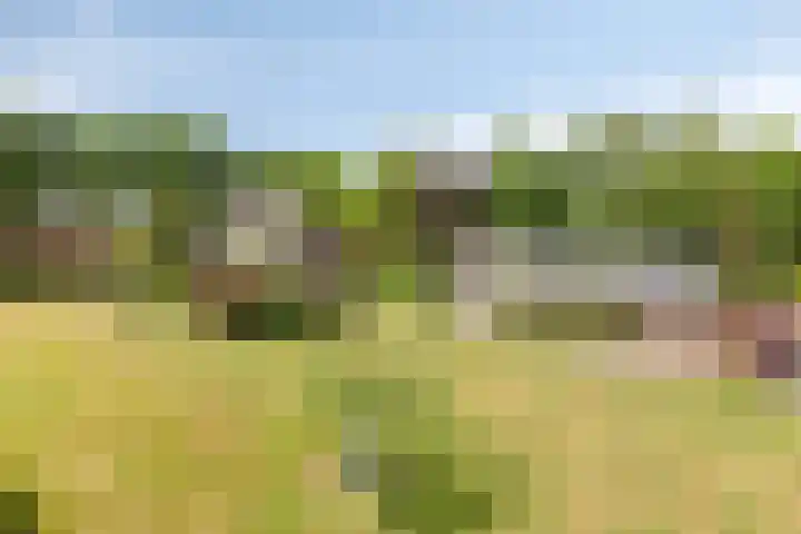 Zuideind 13 A Drouwenerveen thumbnail 7