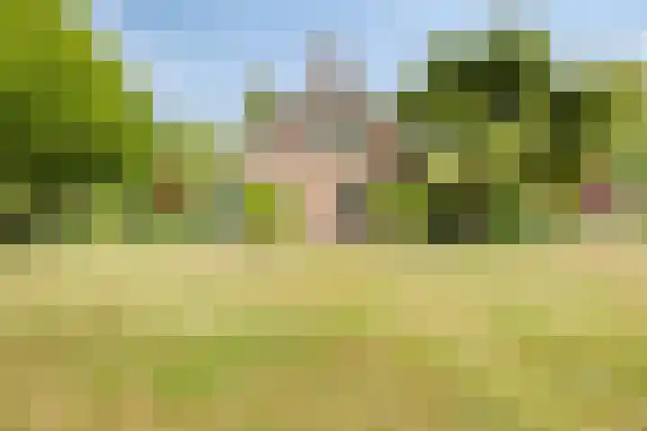Zuideind 13 A Drouwenerveen thumbnail 76